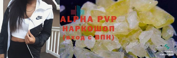 гидра Нея