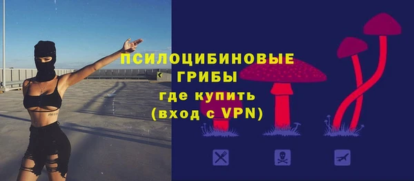 гидра Нея