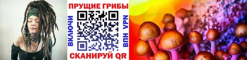 Псилоцибиновые грибы MAGIC MUSHROOMS  Купить  Тольятти 